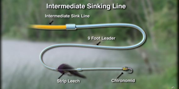 Video Pro Tips: How to Catch Trout in Lakes
